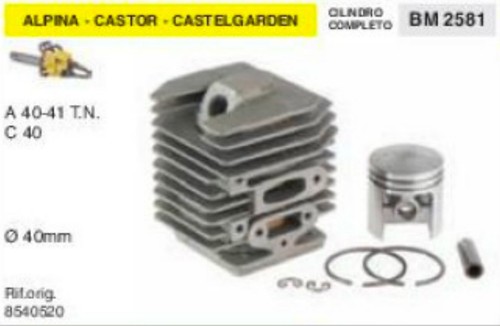 Cilindro pistone motosega - cilindro,